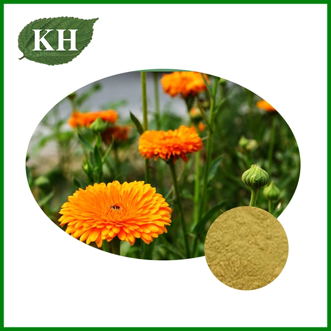Calendula Extract